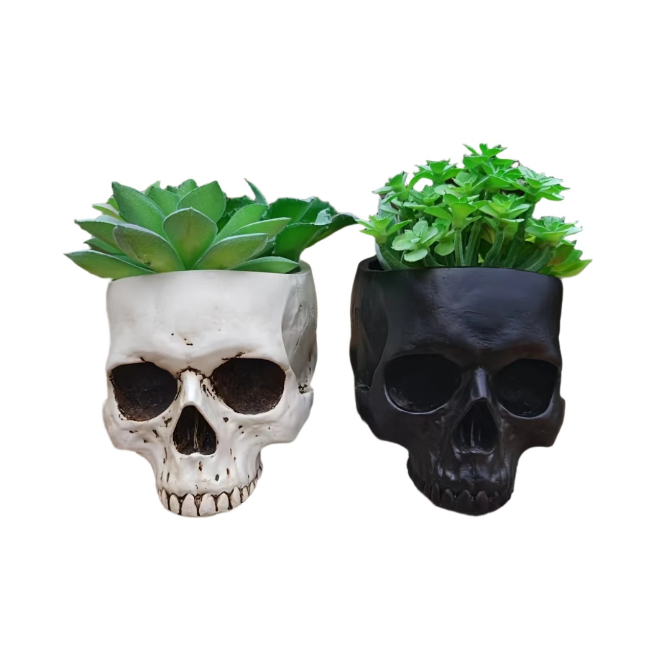 Skull Vase/Planter