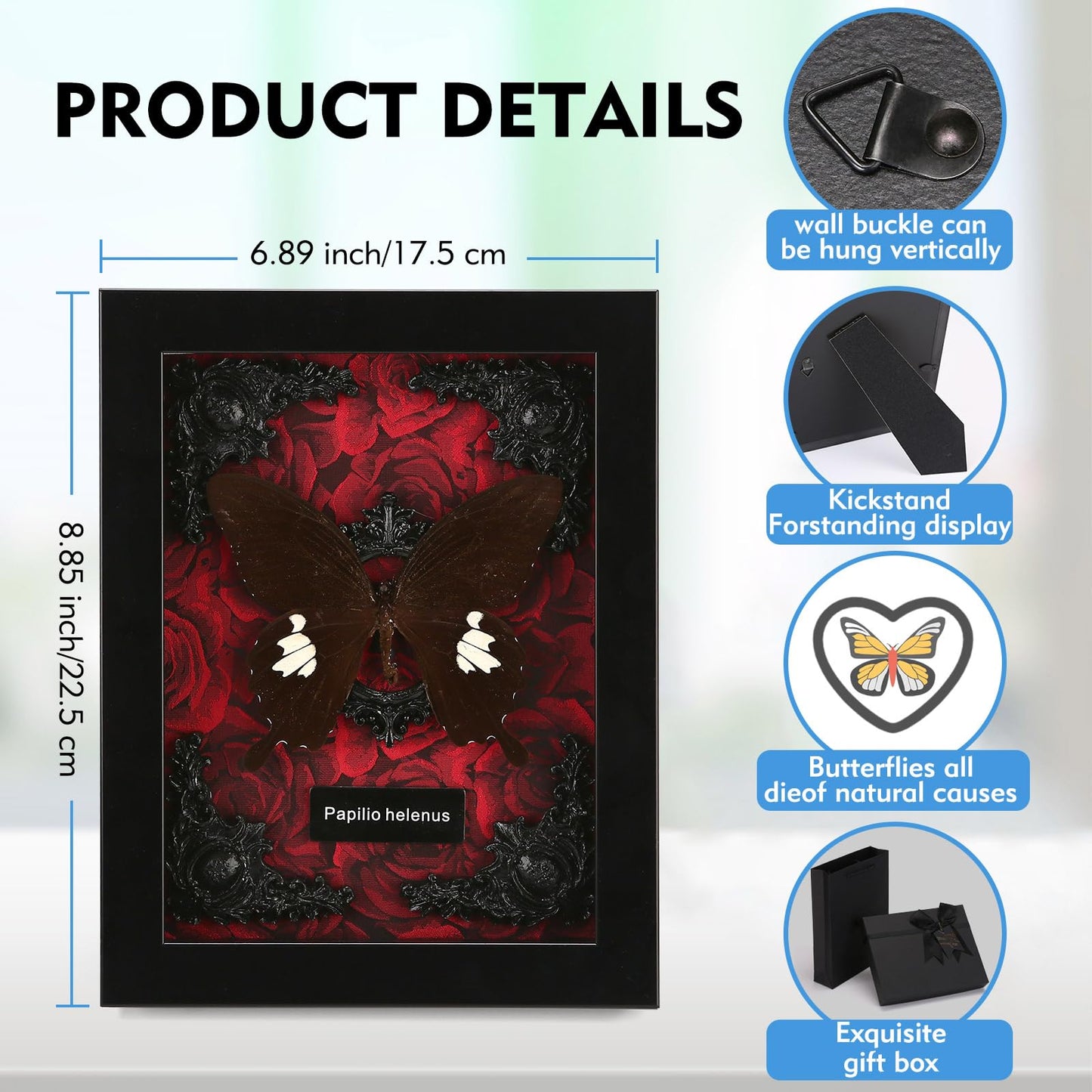 Real Butterfly Framed Taxidermy