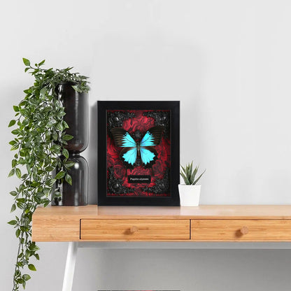 Real Butterfly Framed Taxidermy