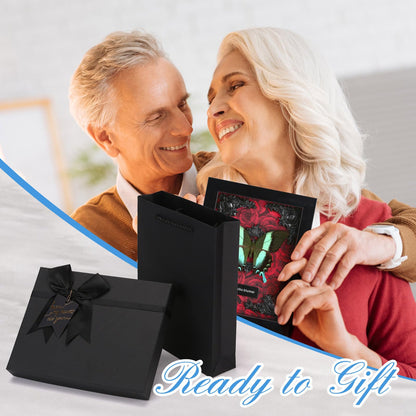 Real Butterfly Framed Taxidermy