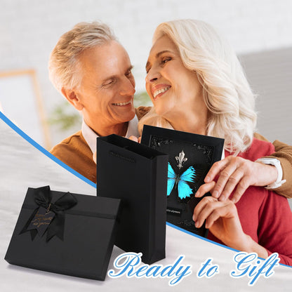 Real Butterfly Framed Taxidermy