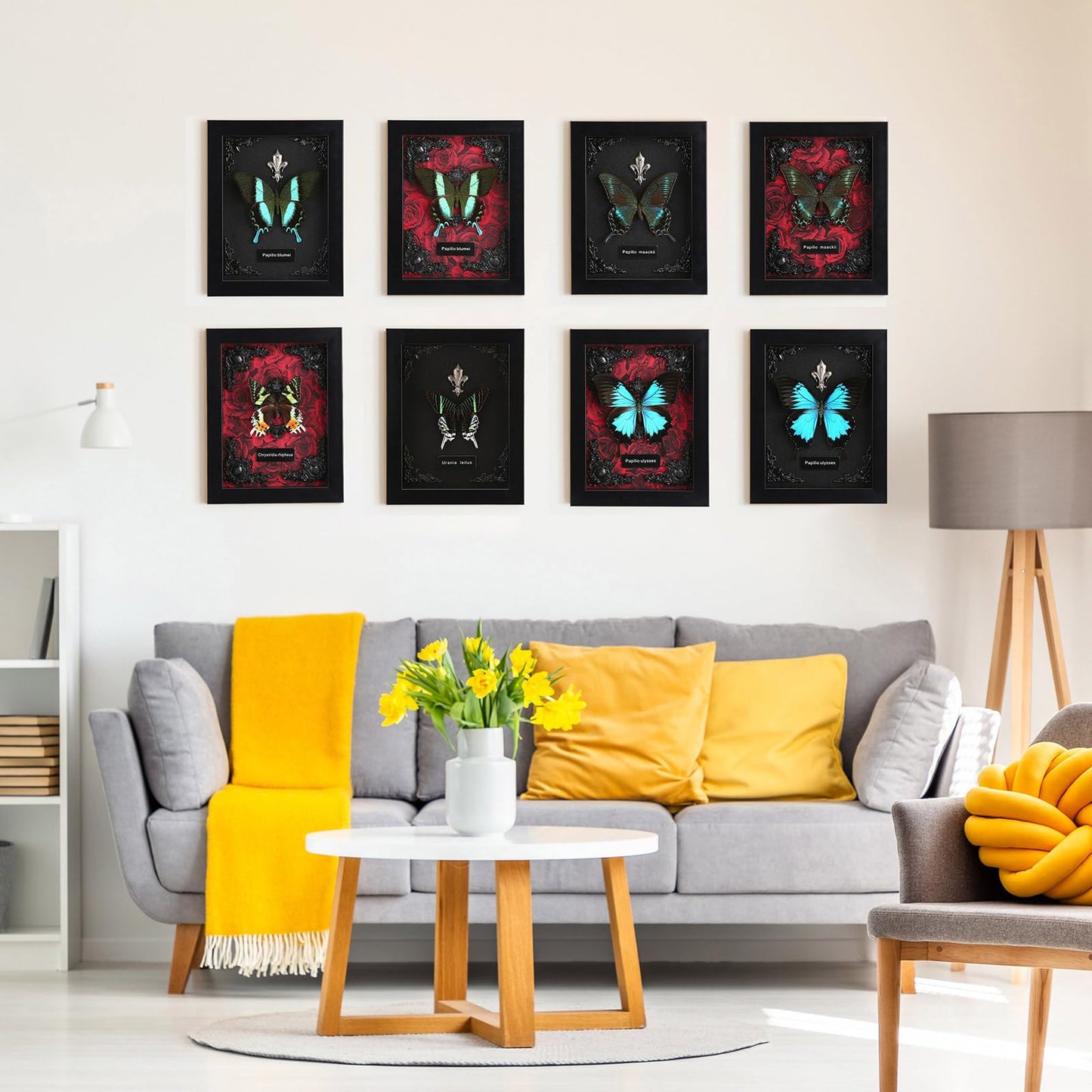 Real Butterfly Framed Taxidermy