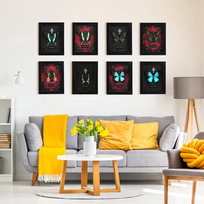 Real Butterfly Framed Taxidermy