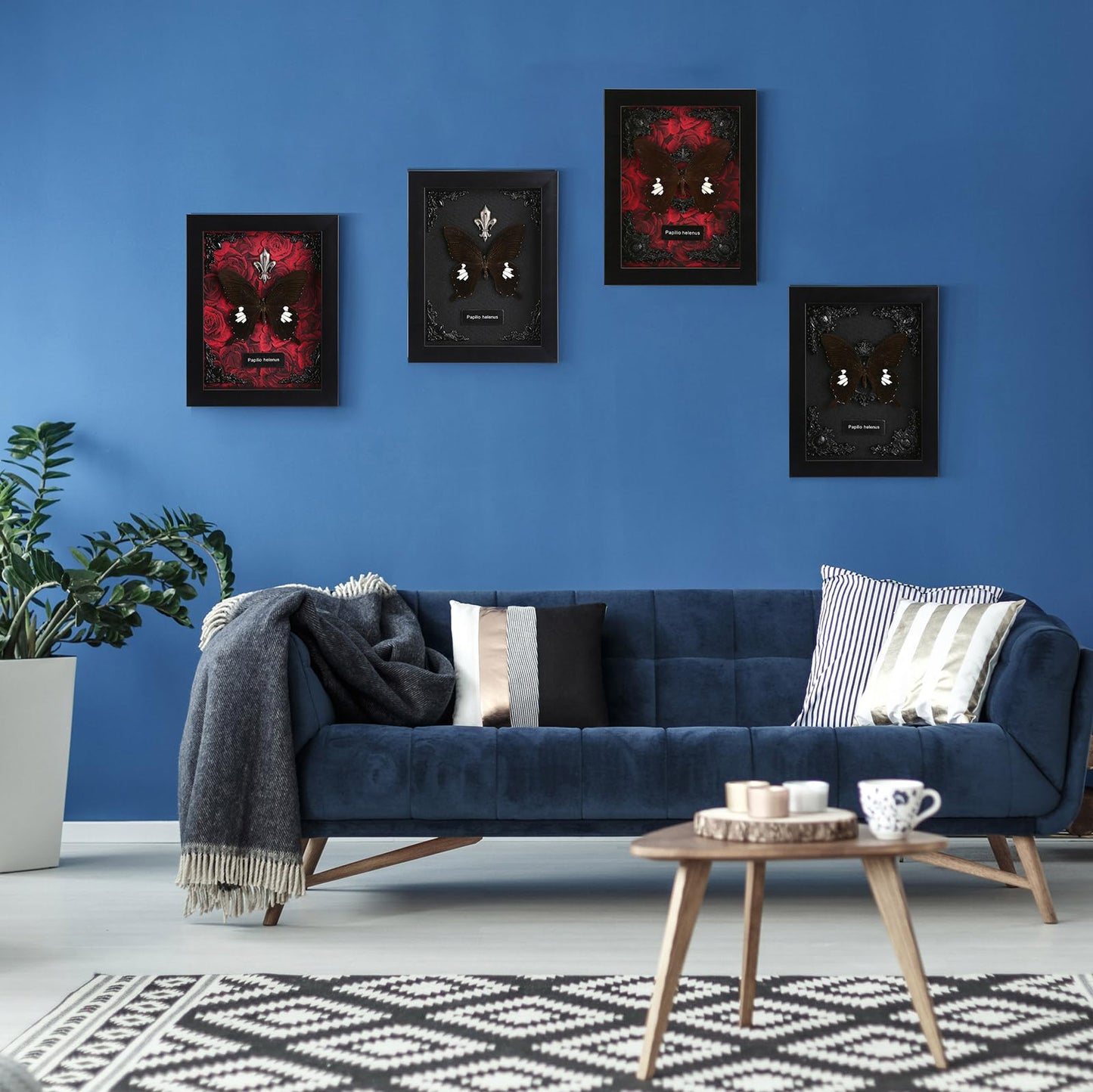 Real Butterfly Framed Taxidermy