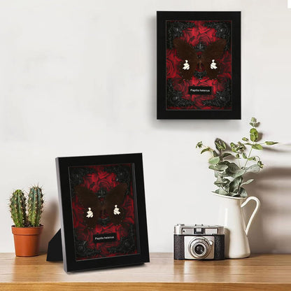 Real Butterfly Framed Taxidermy