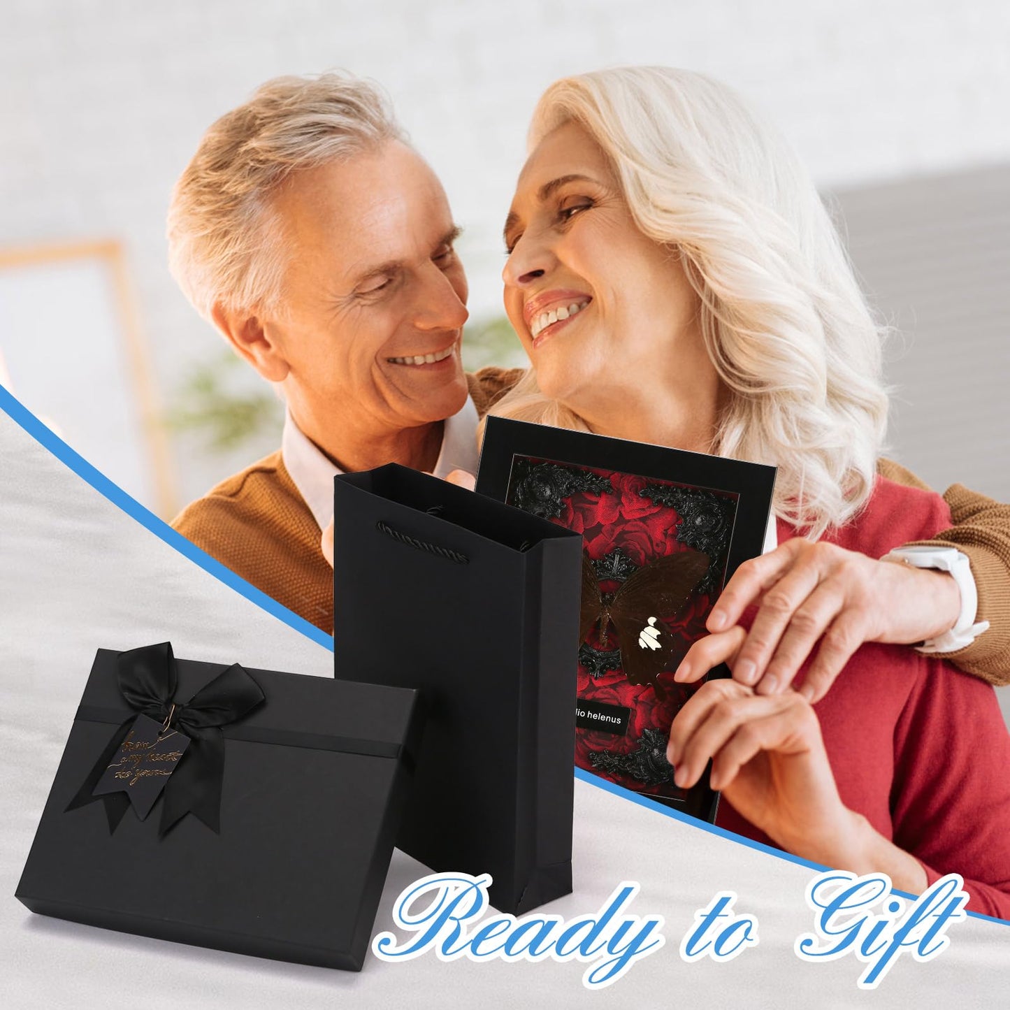 Real Butterfly Framed Taxidermy