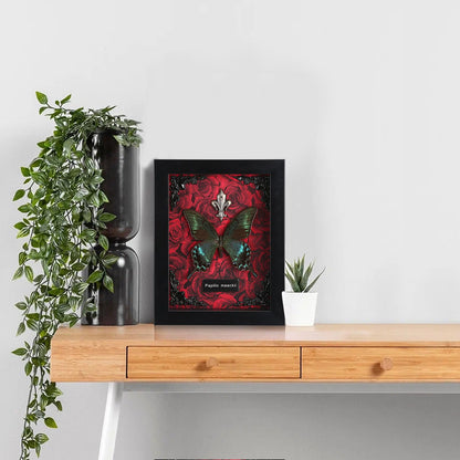 Real Butterfly Framed Taxidermy