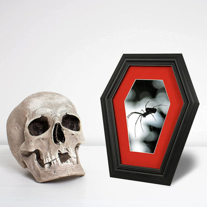 Coffin Picture Frame