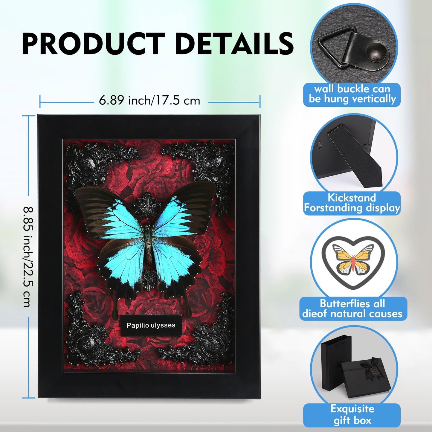 Real Butterfly Framed Taxidermy