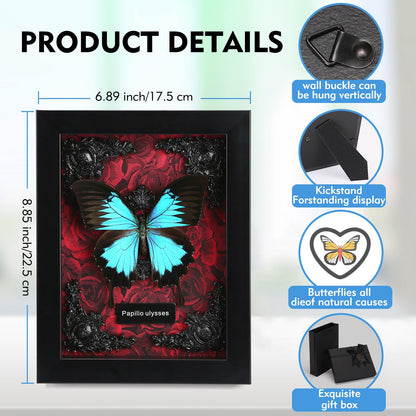 Real Butterfly Framed Taxidermy