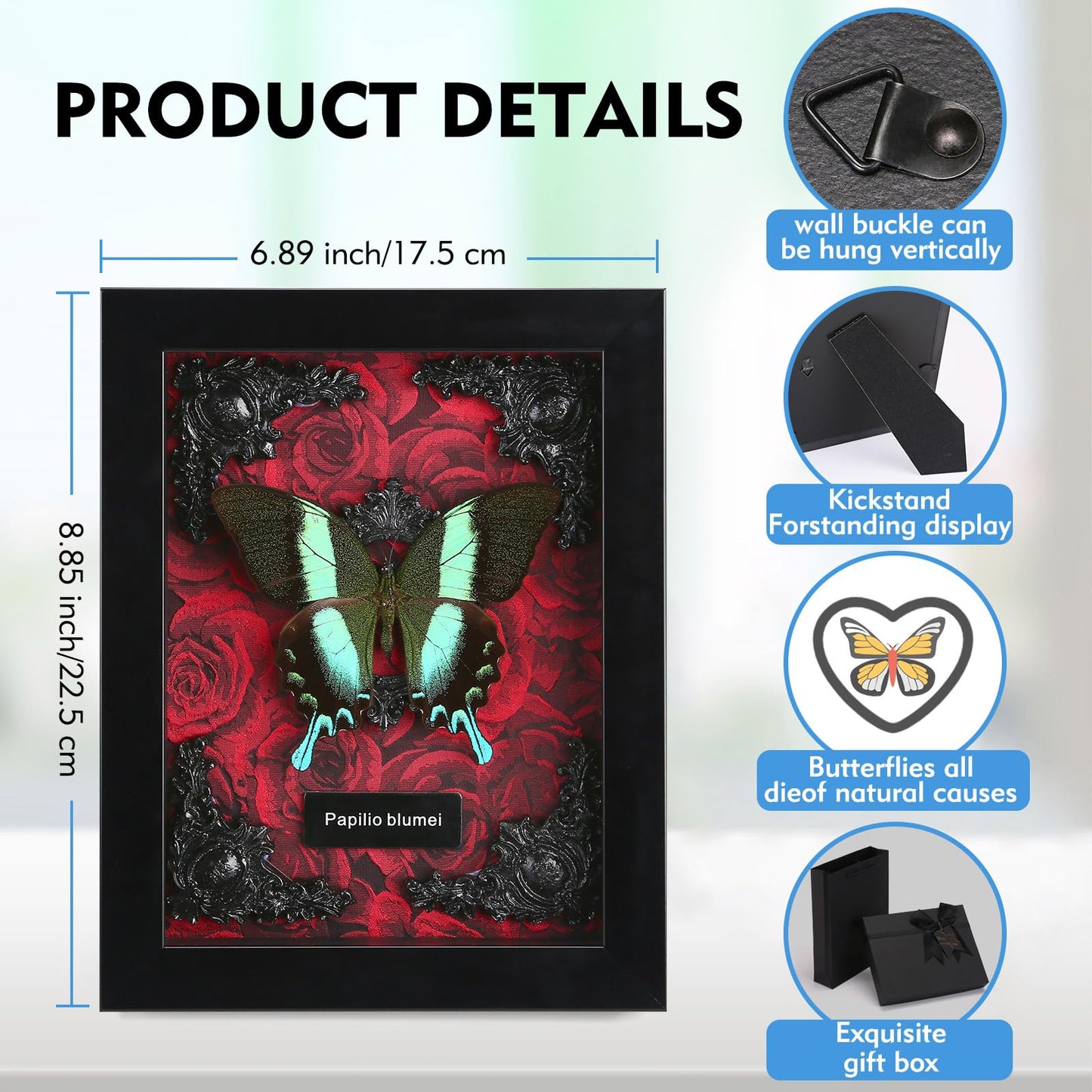 Real Butterfly Framed Taxidermy