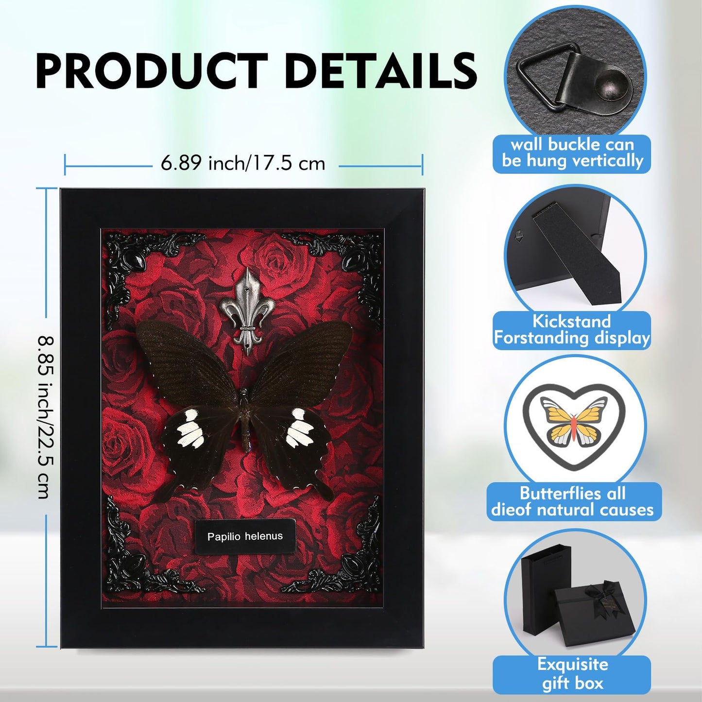 Real Butterfly Framed Taxidermy