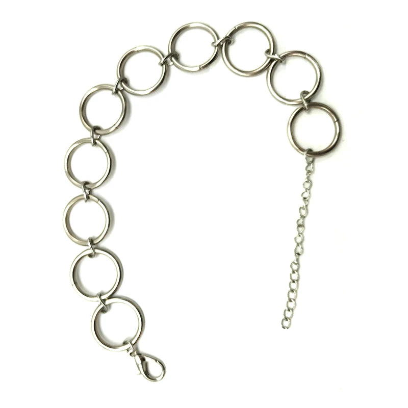 Stainless Steel Ringed Necklace