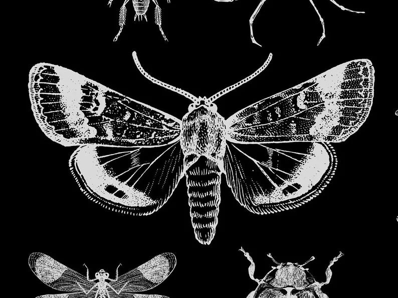 Gothic Insect Tapestry