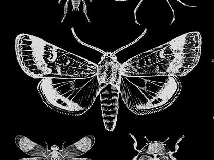 Gothic Insect Tapestry