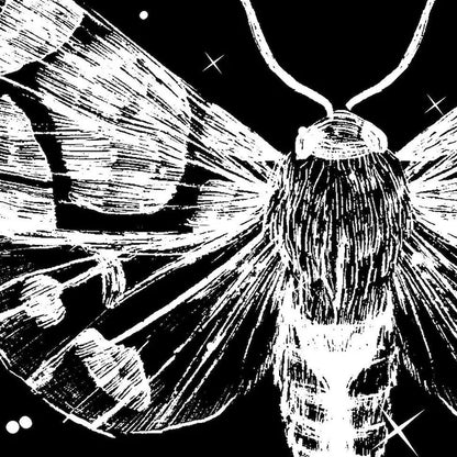 Moon Phase Dark Moth Tapestry