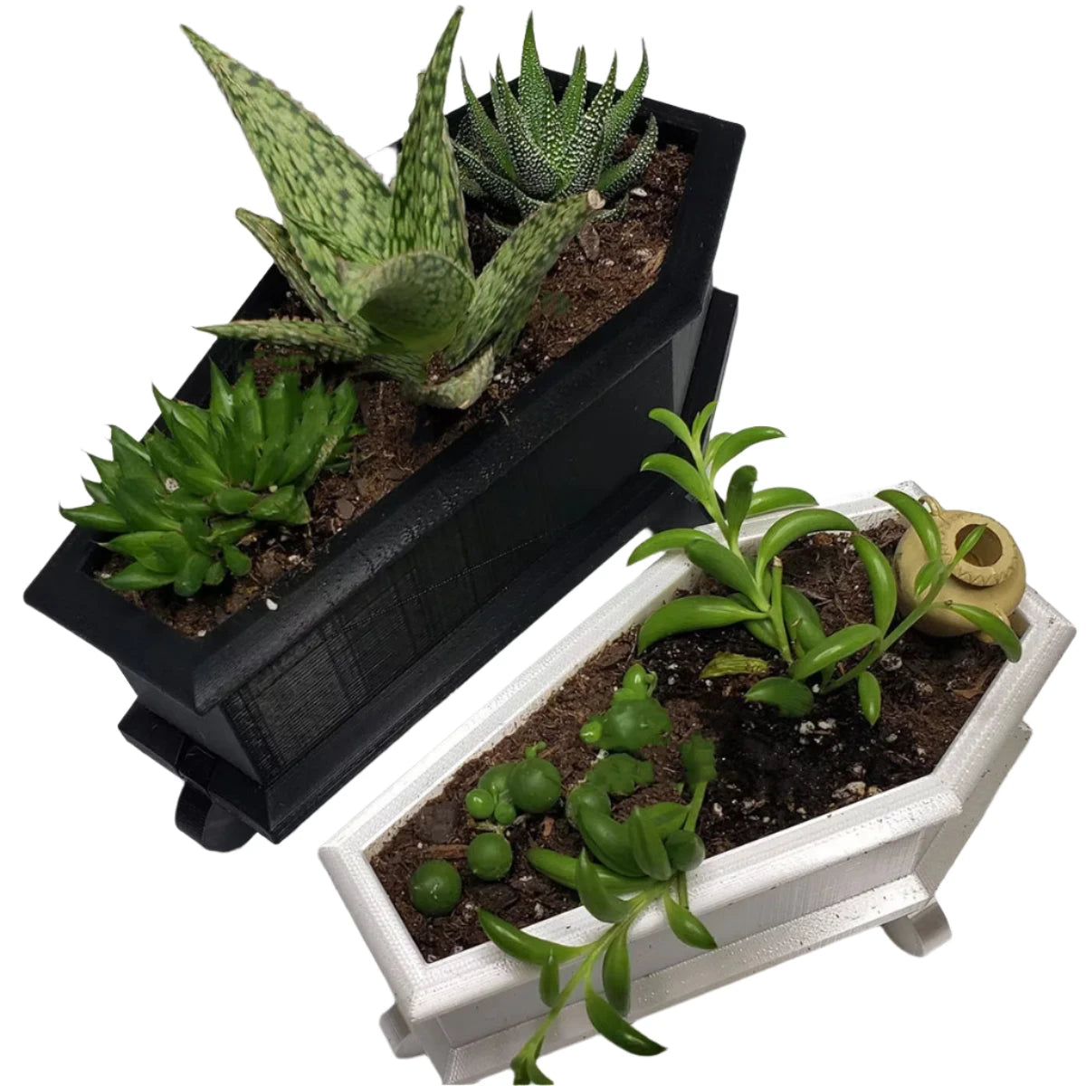 Eternal Garden Coffin Vase/Planter